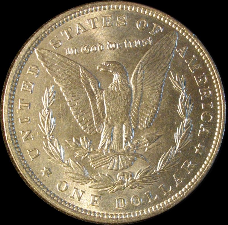 28-Days-Of-Morgans