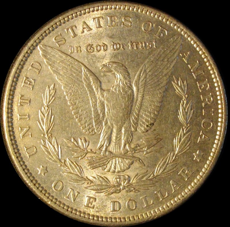 28-Days-Of-Morgans