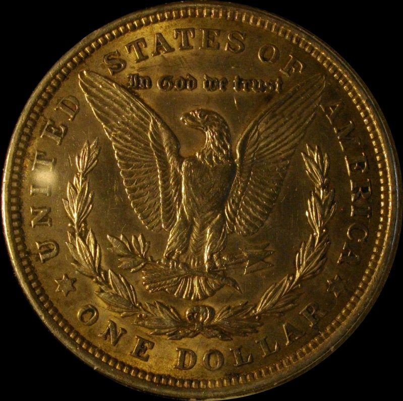 28-Days-Of-Morgans