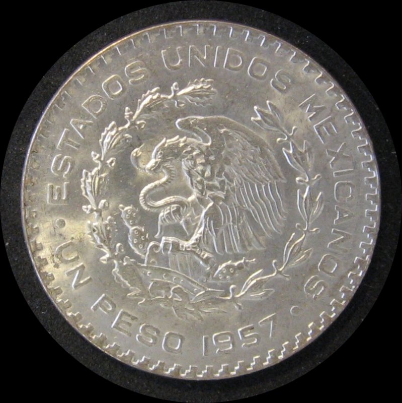 Continuing-List-To-Show-Everyones-Latest-Acquisitions