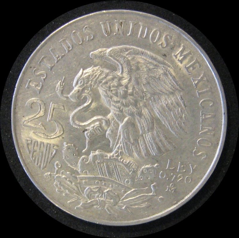 Continuing-List-To-Show-Everyones-Latest-Acquisitions