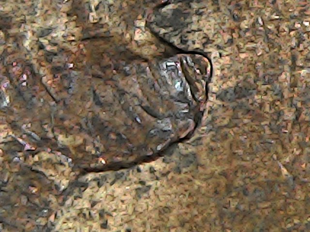 2001-P-Lincoln-Cent-With-Anomoly