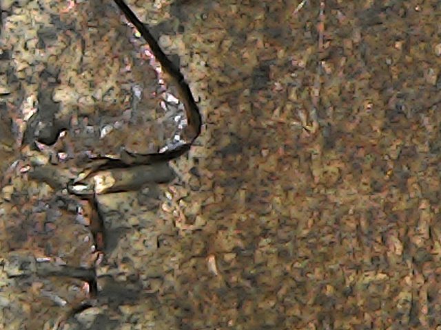 2001-P-Lincoln-Cent-With-Anomoly
