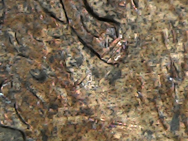 2001-P-Lincoln-Cent-With-Anomoly