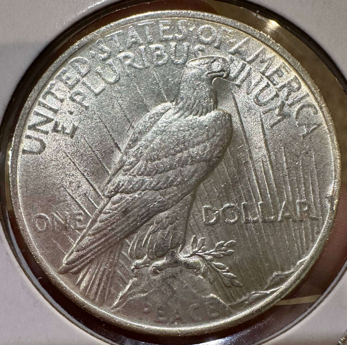 1923-P-Peace-Dollar-~-OBV-+-REV-Die-Cracks?