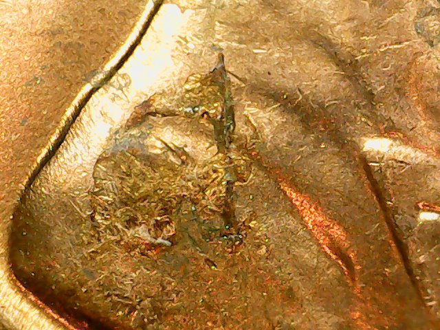 1964-Lincoln--Memorial-CCent-Error?