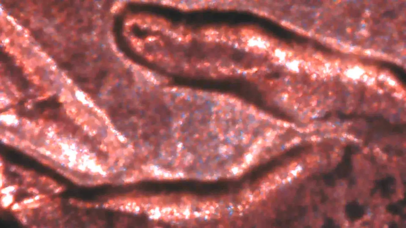 2009-P-Lincoln-Possible-Extra-