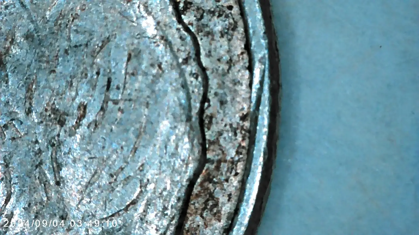 1964-D-Roosevelt-Finning?