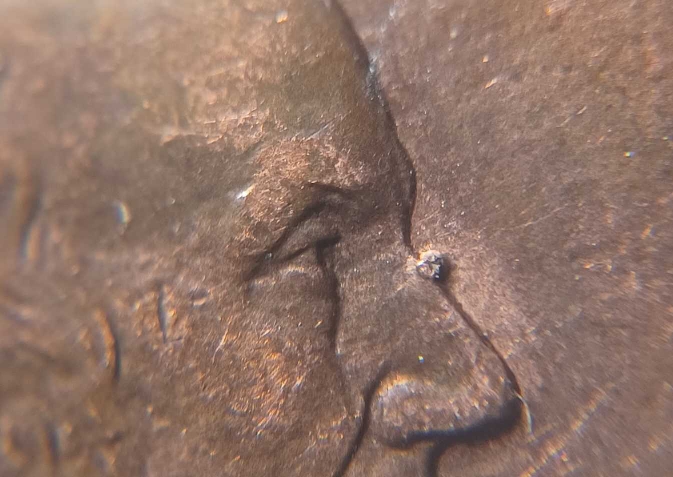Check-Out-This-Funny-Looking-Guy.--1997-Penny-~-Nose-Wart
