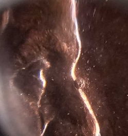 Check-Out-This-Funny-Looking-Guy.--1997-Penny-~-Nose-Wart