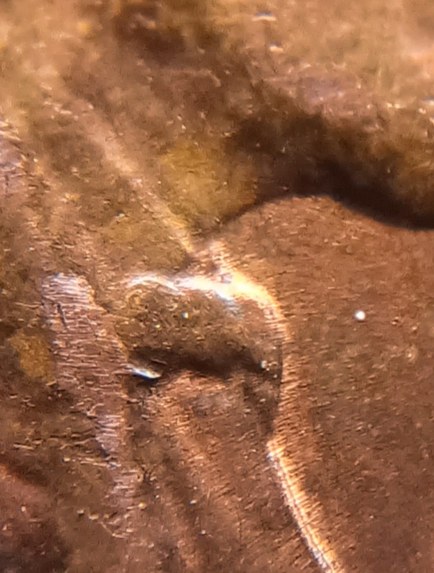 1967-Memorial-Penny-Weird-Tie-And-Shirt-Border
