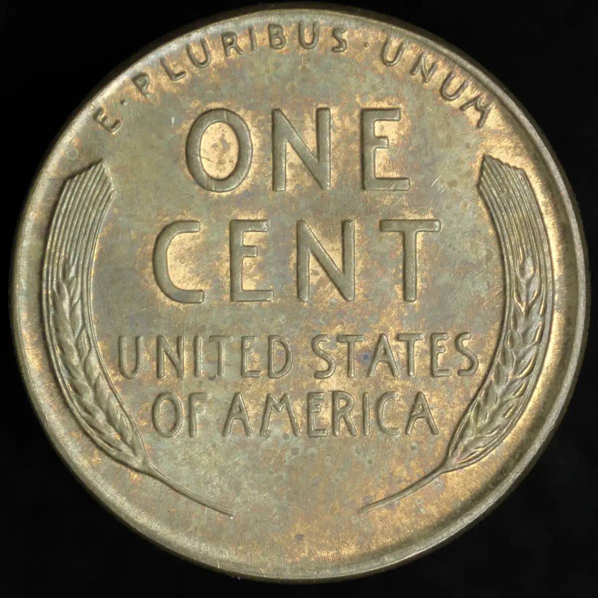 1951-P-LWC-DDO-002-1-DO-002