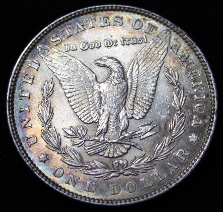 1884-Morgan-Silver-Dollar-For-Grading