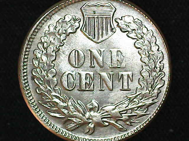 1877-Indian-Head-Cent---Real-Or-Fake?
