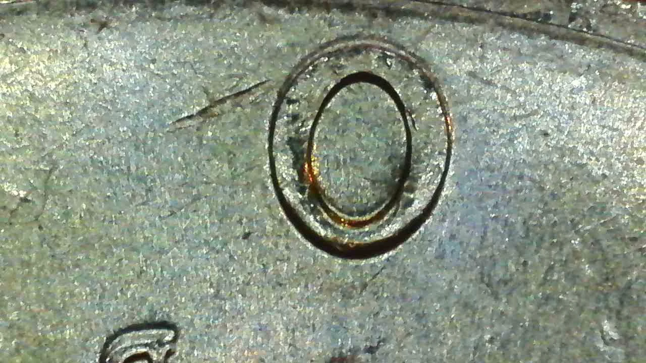 2023-D-Kennedy-Half-Dollar---DDO?