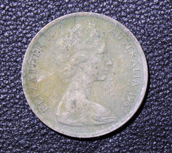 Post-Your-Coins-Representing-The-Animal-Kingdom.