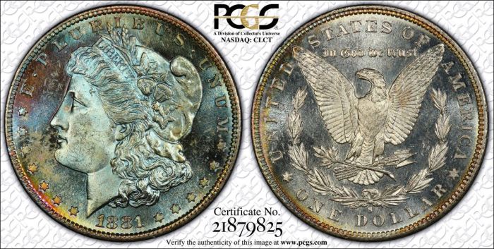 Renewed-5/7/2024-Search-For-Very-Specific-Toned-Coins:-1881-S-Pl,-1890-S