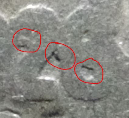 1928-Nickel---Is-This-A-Double-Die?