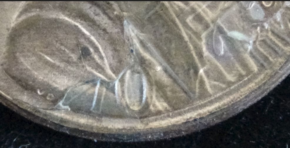 2006-PMD-Penny---Epoxy-Glue-Mimics-Triple-Die-Clash---Coin-Dealer-Told-Me-Not-To-Clean-It