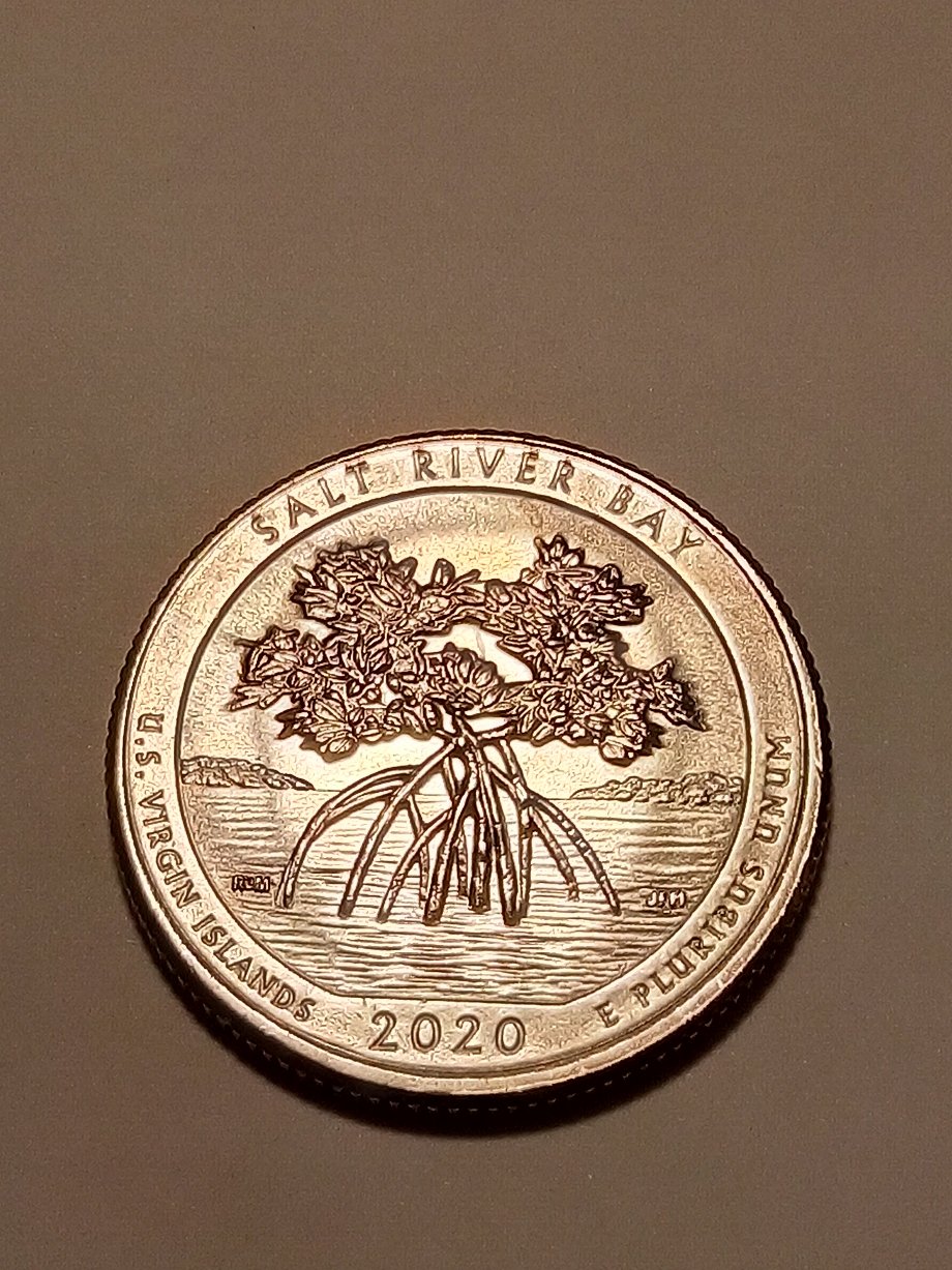 Another-Possible-DDO-Salt-River-Bay-2020-Quarter?