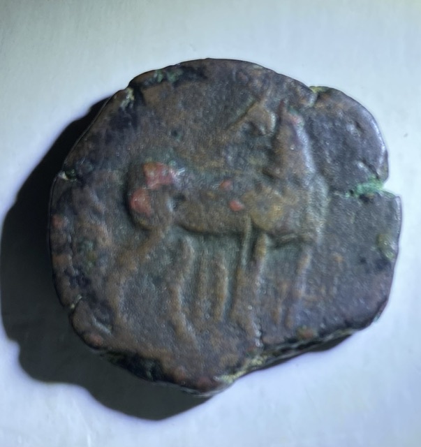 How-Old-Is-This-Coin?