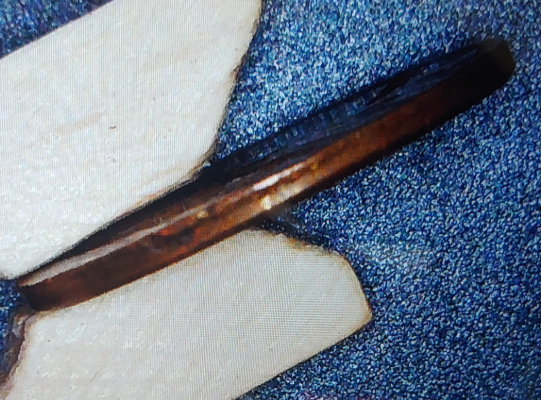 Is-This-A-Mint-Strike-Error-Or-Was-Someone-Trying-To-Create-An-Error-On-This-1980-Lincoln-Cent?