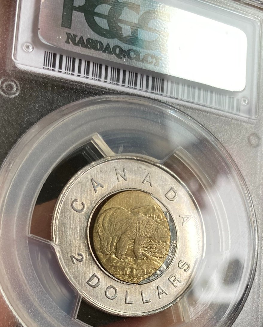 Experts-Opinions-Needed,-German-Planchet?-1996-Toonie-Error.
