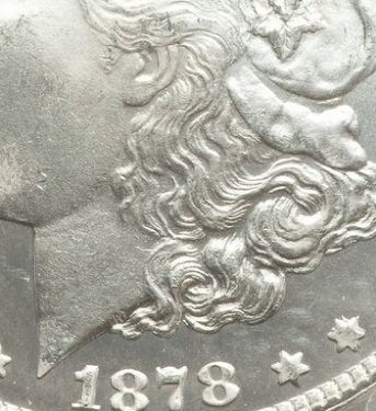 1878-Top-100-VAM-141-Morgan-Dollar