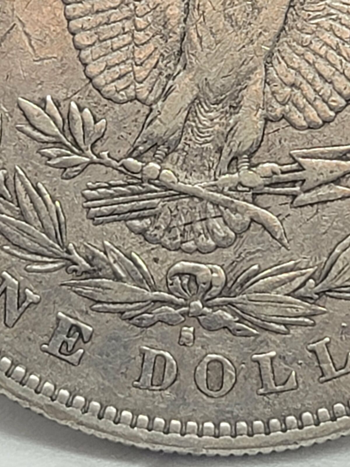 1878-S-Morgan-Dollar-1-St-Newp-In-The-Wild-Of-2022