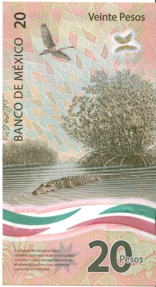 How-Far-Back-Can-We-Go?---With-Banknotes!-Third-Edition