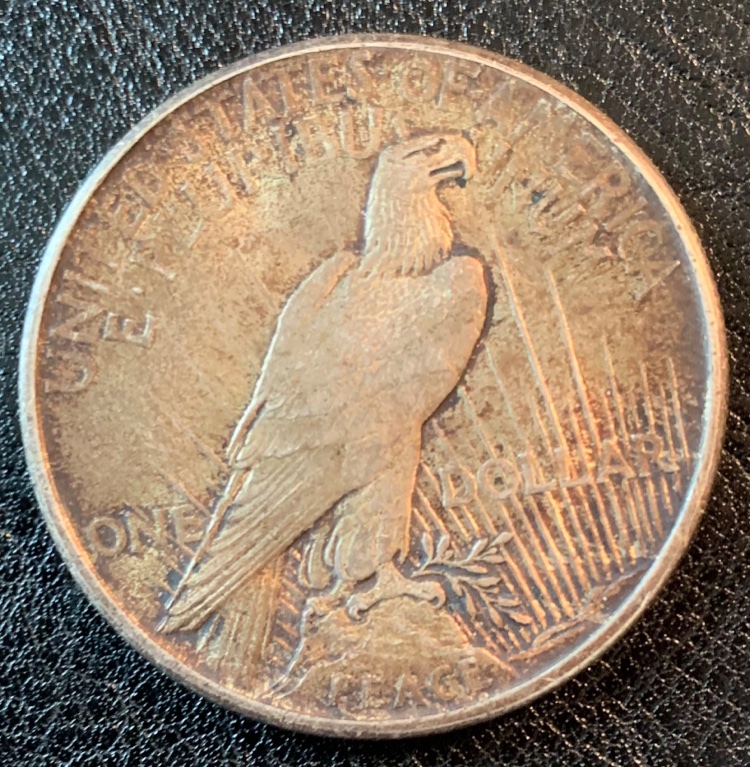 1921-Peace-Dollar-For-Grading---Contrast-With-1924