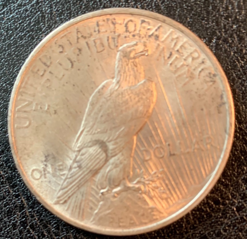 1921-Peace-Dollar-For-Grading---Contrast-With-1924