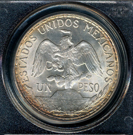 Post-Your-Coins-With-Horses