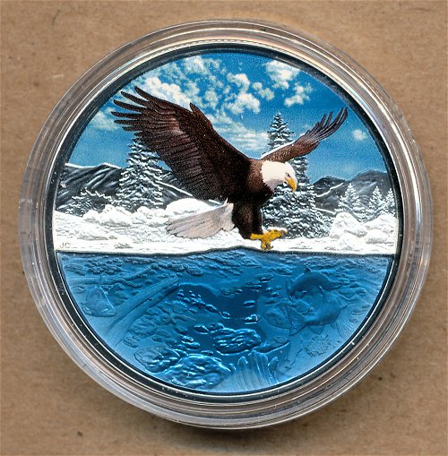 Commems-Collection-Canadian:-2019-Bald-Eagle-Reflection-Silver-$20-Coin