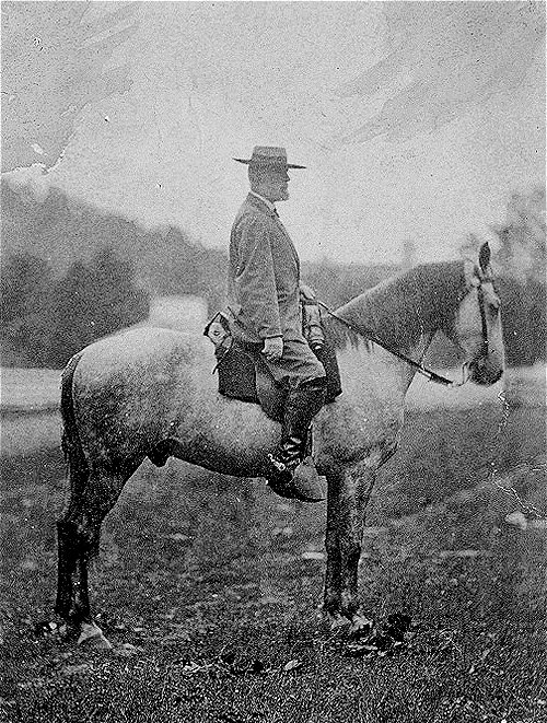 Commems-Collection-Classic:-Quick-Bits-#26---Stone-Mtn-Horses