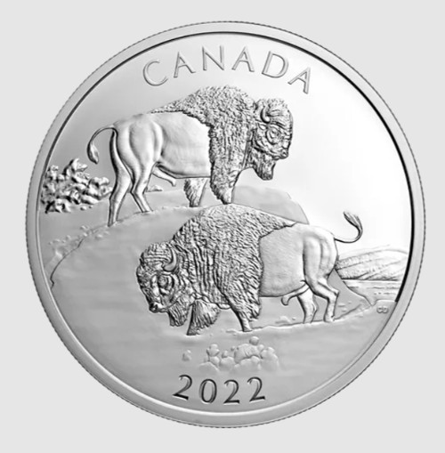 I-Really-Like-Coins-With-A-Bison!