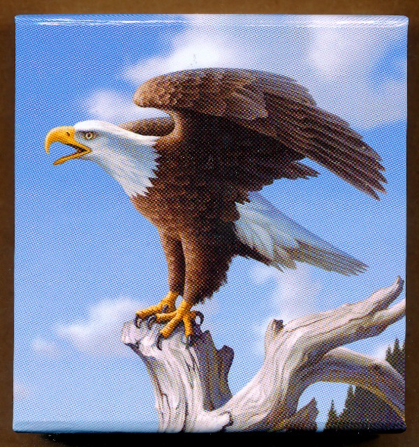 Commems-Collection-Canadian:-2014-$100-Majestic-Bald-Eagle