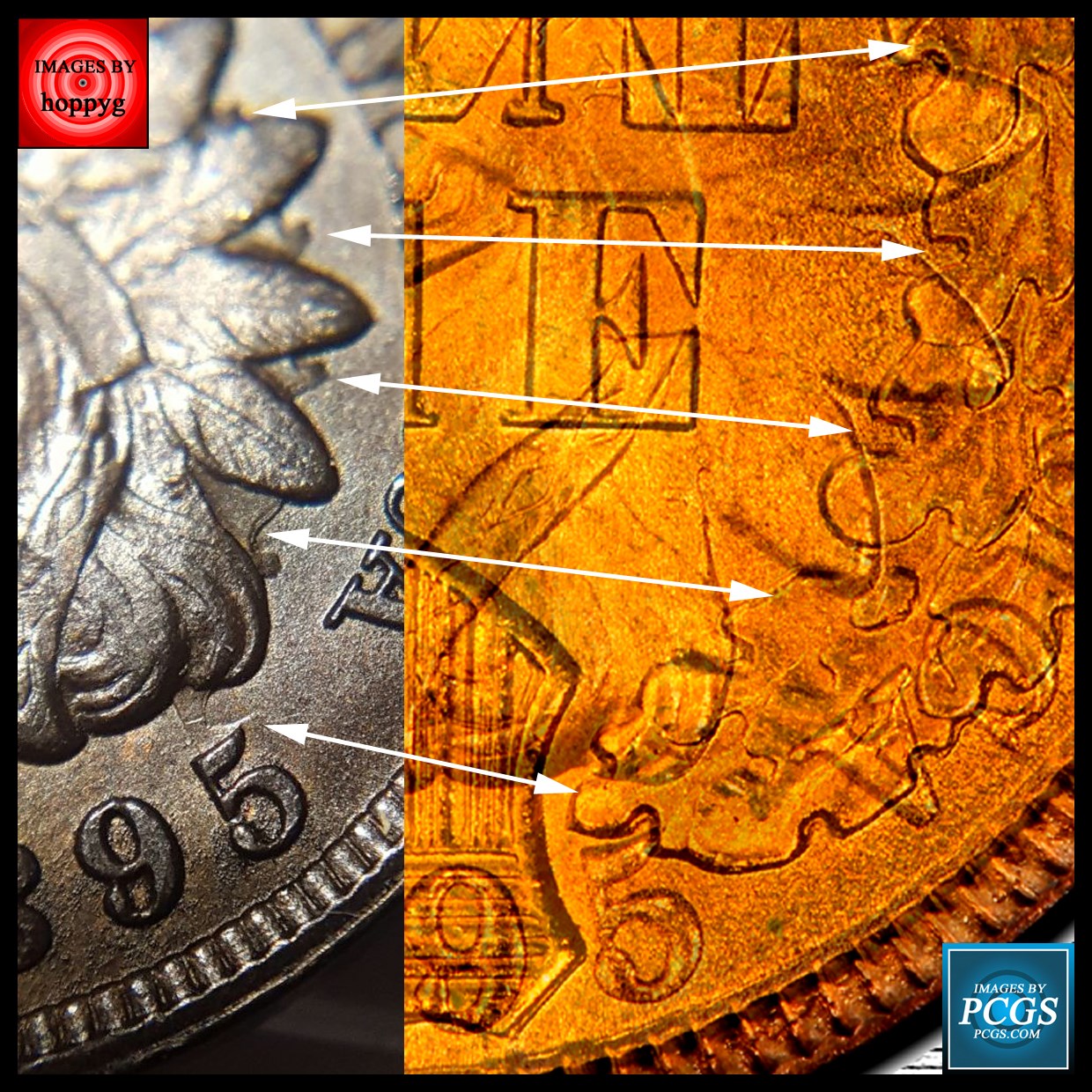 1895-IHC-Possible-Proof-W/-Strong-Obverse-Clash-As-Well-As-Reverse-Clash