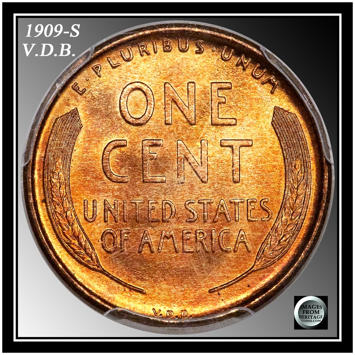 1909-VDB-Penny!--Is-It-A-Matte-Proof?-Or-Just-A-$5-Penny?