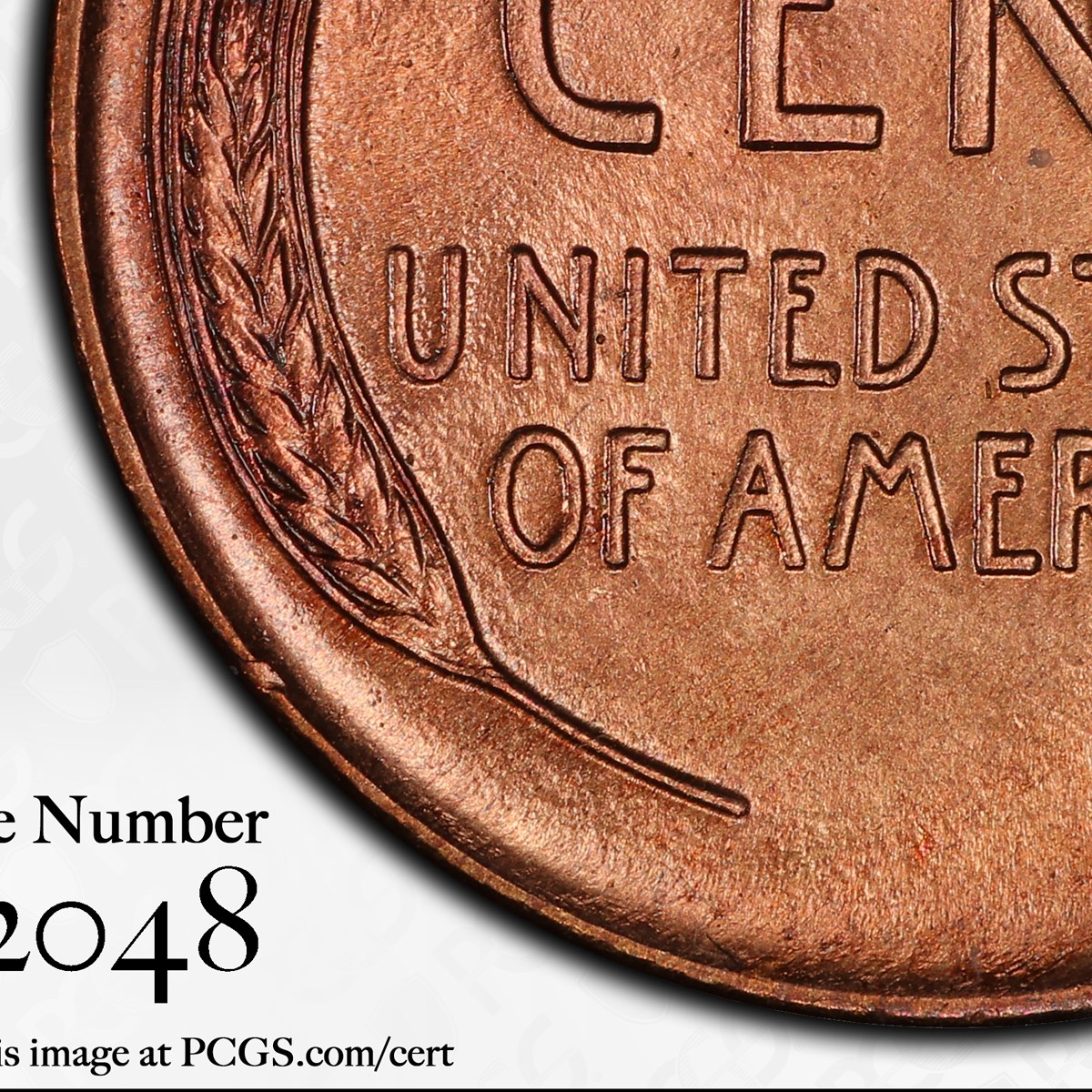 1911-D-Lincoln-Wheat-Cent-RPM-004,-FS-504-Graded-Questionable-Color?
