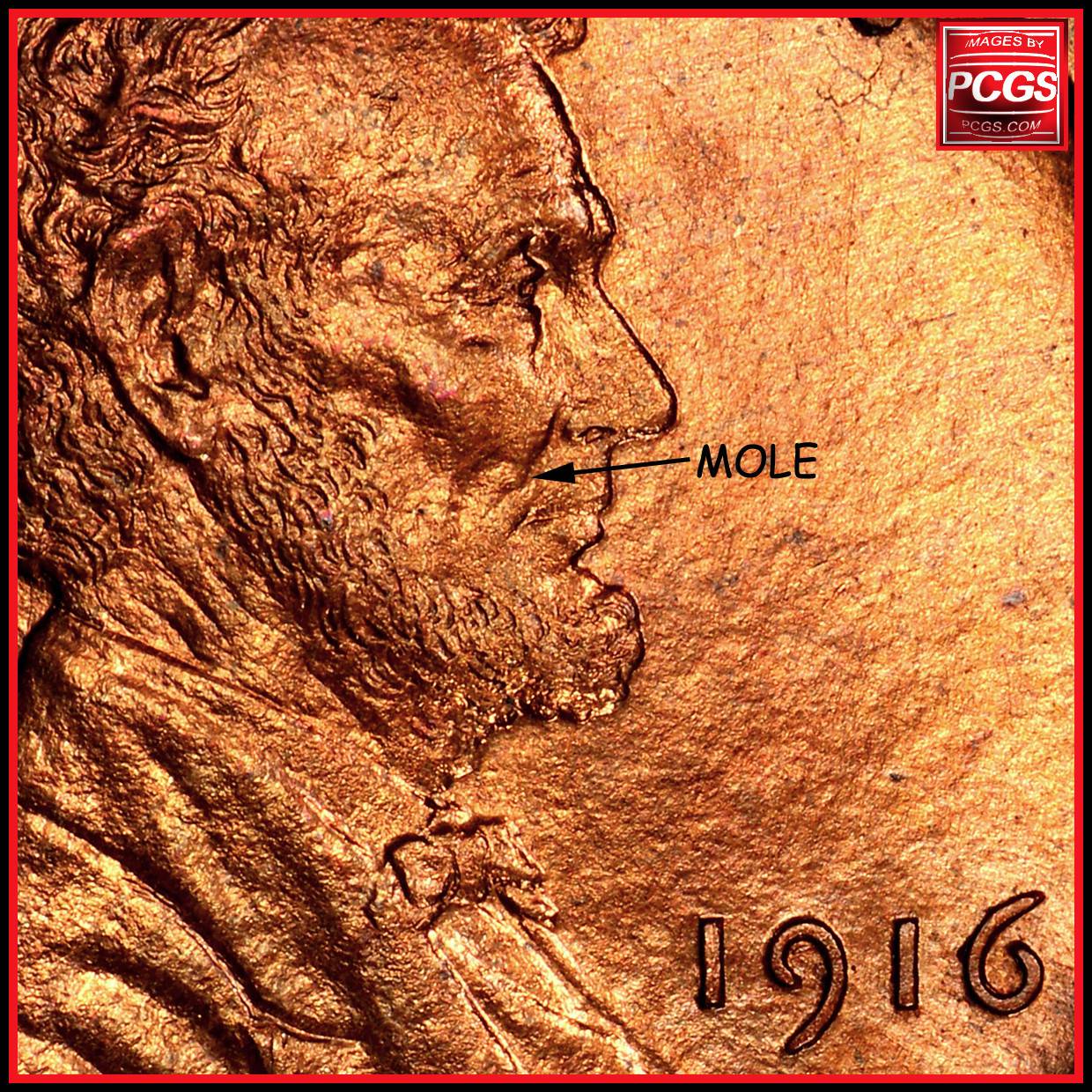 1916-LWC---Thoughts-On-Mpl?