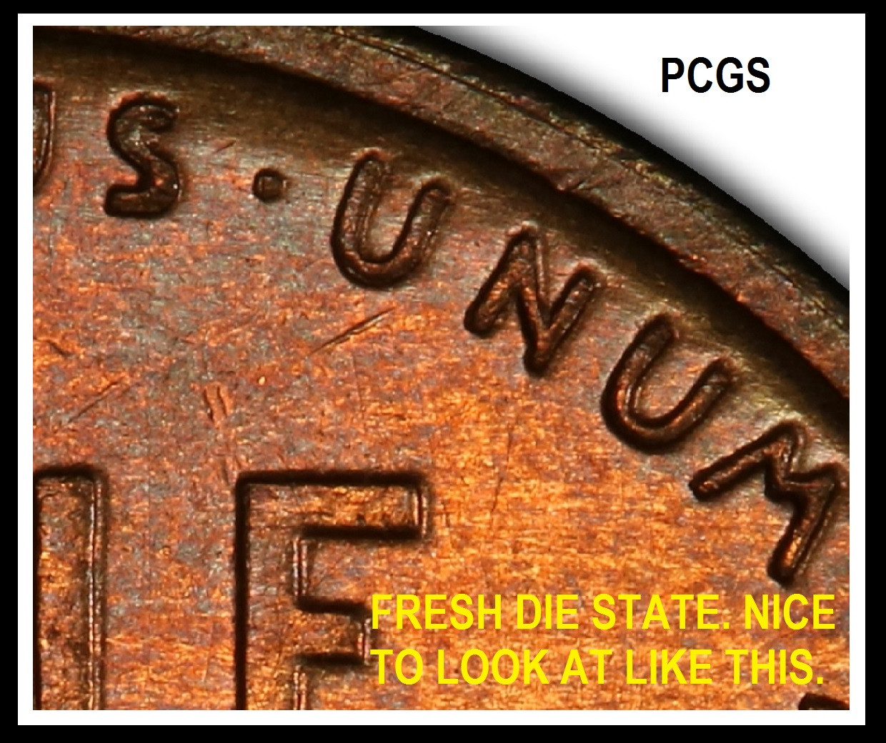 Educational-Images-For-Description-Of-Coin-Findings.-Over-500-Images