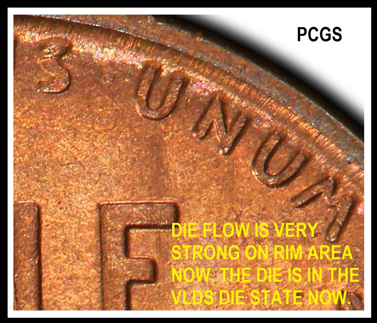 Educational-Images-For-Description-Of-Coin-Findings.-Over-500-Images
