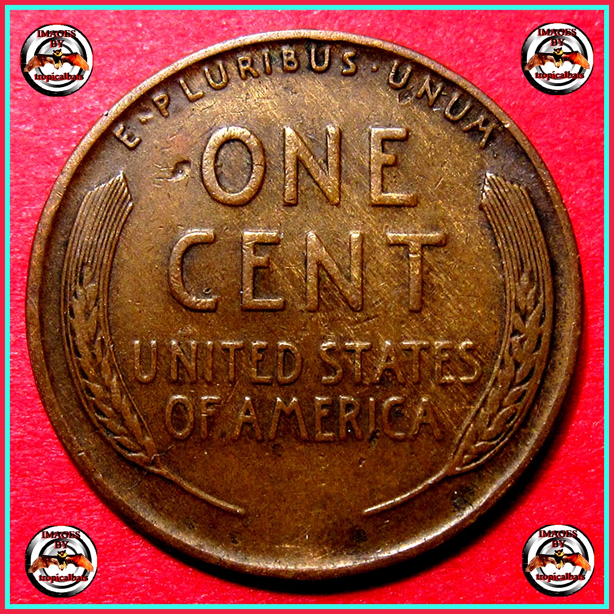 1930-Lincoln-Wheat-Cent---Split-Planchet--2.19g
