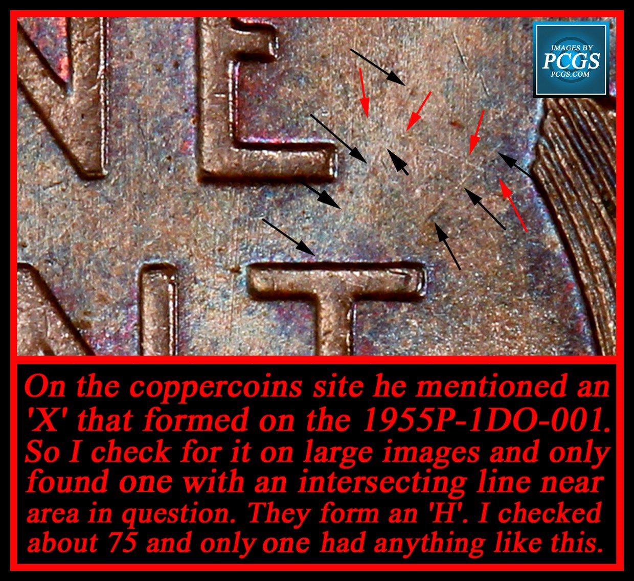 1955-DDO:-Looking-For-Opinions