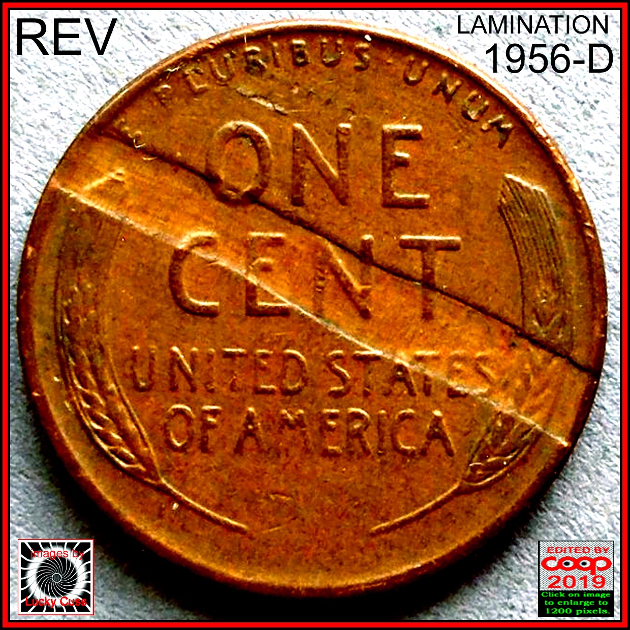 1956-D-Cent-With-Reverse-Planchet-Delamination