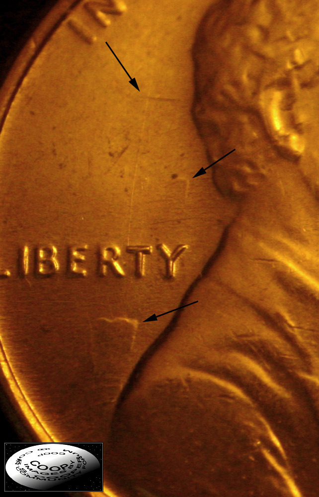 Die-Polishing.-How-Does-That-Affect-The-Coins?