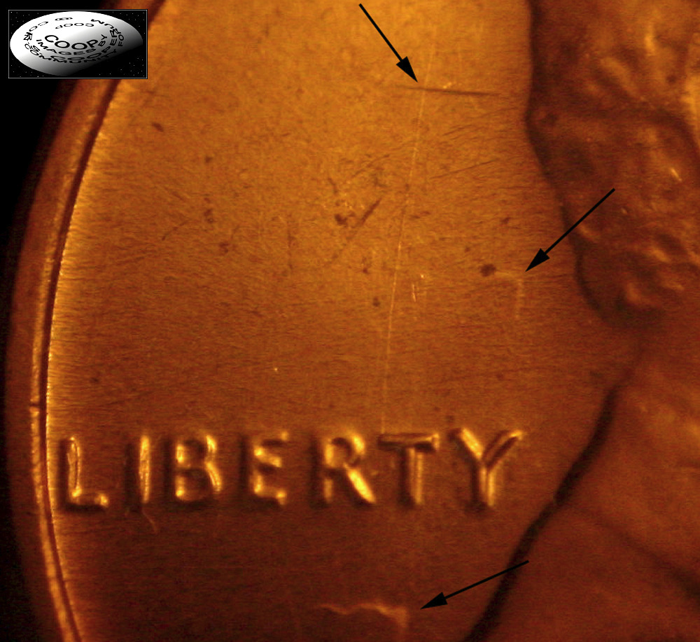 Die-Polishing.-How-Does-That-Affect-The-Coins?