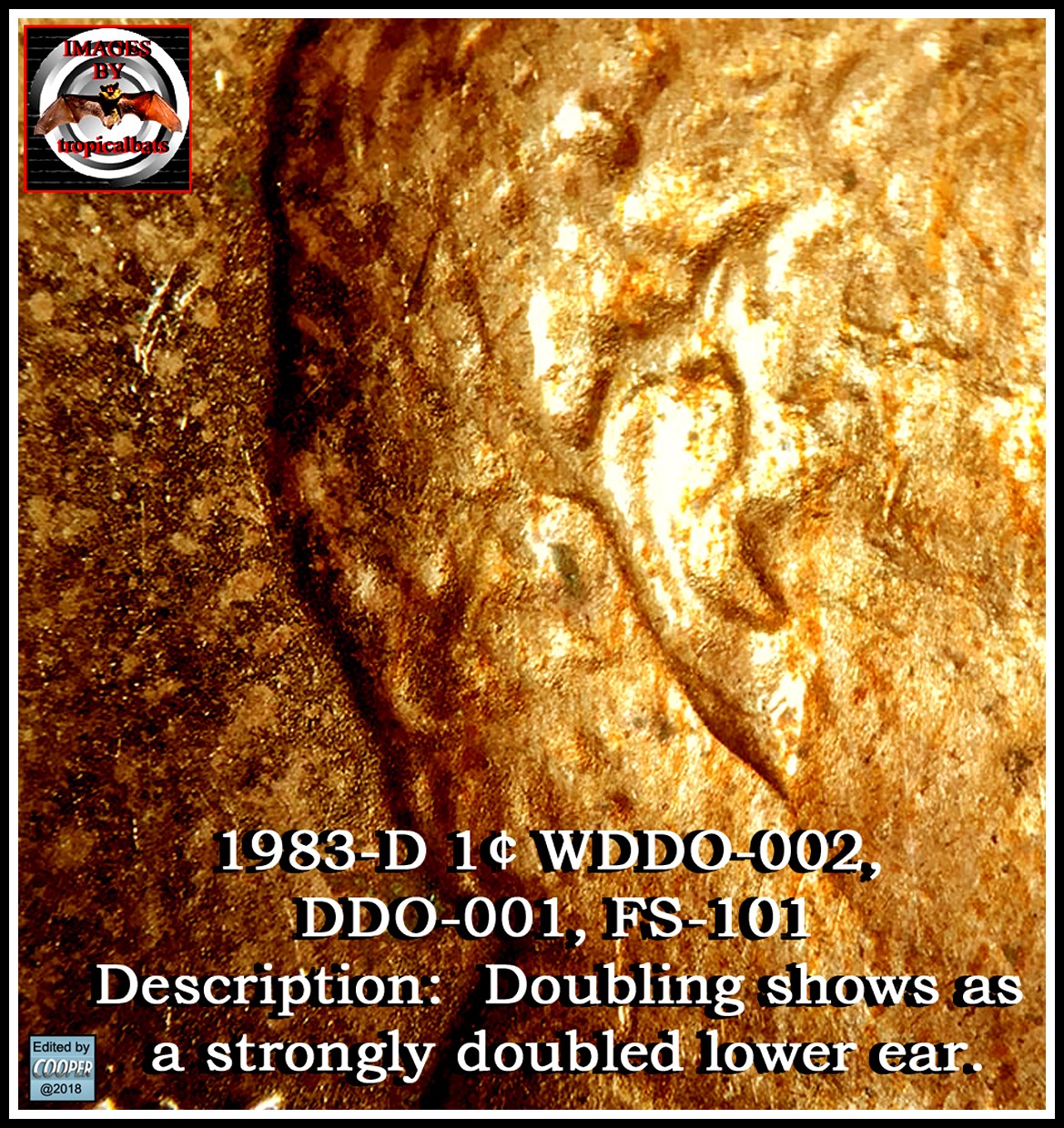 1983-D-LMC-;-Coneca-DDO-001