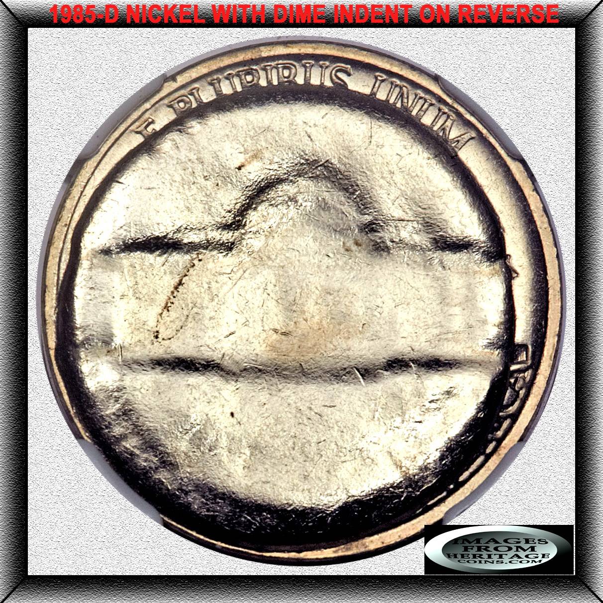 One-Collector's-